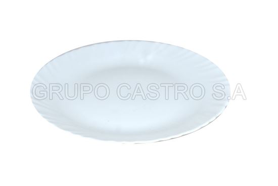 Foto de Plato vidrio semihindo blanco temperado 270mm CFP270PW diva