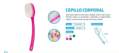 Foto de CEPILLO CORPORAL CEPC01 40X8CMS PROLIMSO (12)