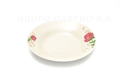 Foto de Plato porcelana hondo decorado 9" GET21-02 (48)