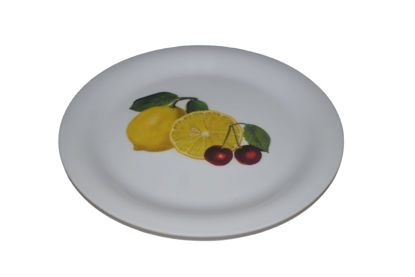 Foto de PLATO PLANO DECORADO MELAMINE 7-3/4" UM-BP-SB-SF W222C.01BP