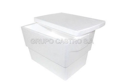 Foto de SEGUNNDA Hielera rectangular 22 litros 44.5X29.5cms Estereofon(10)